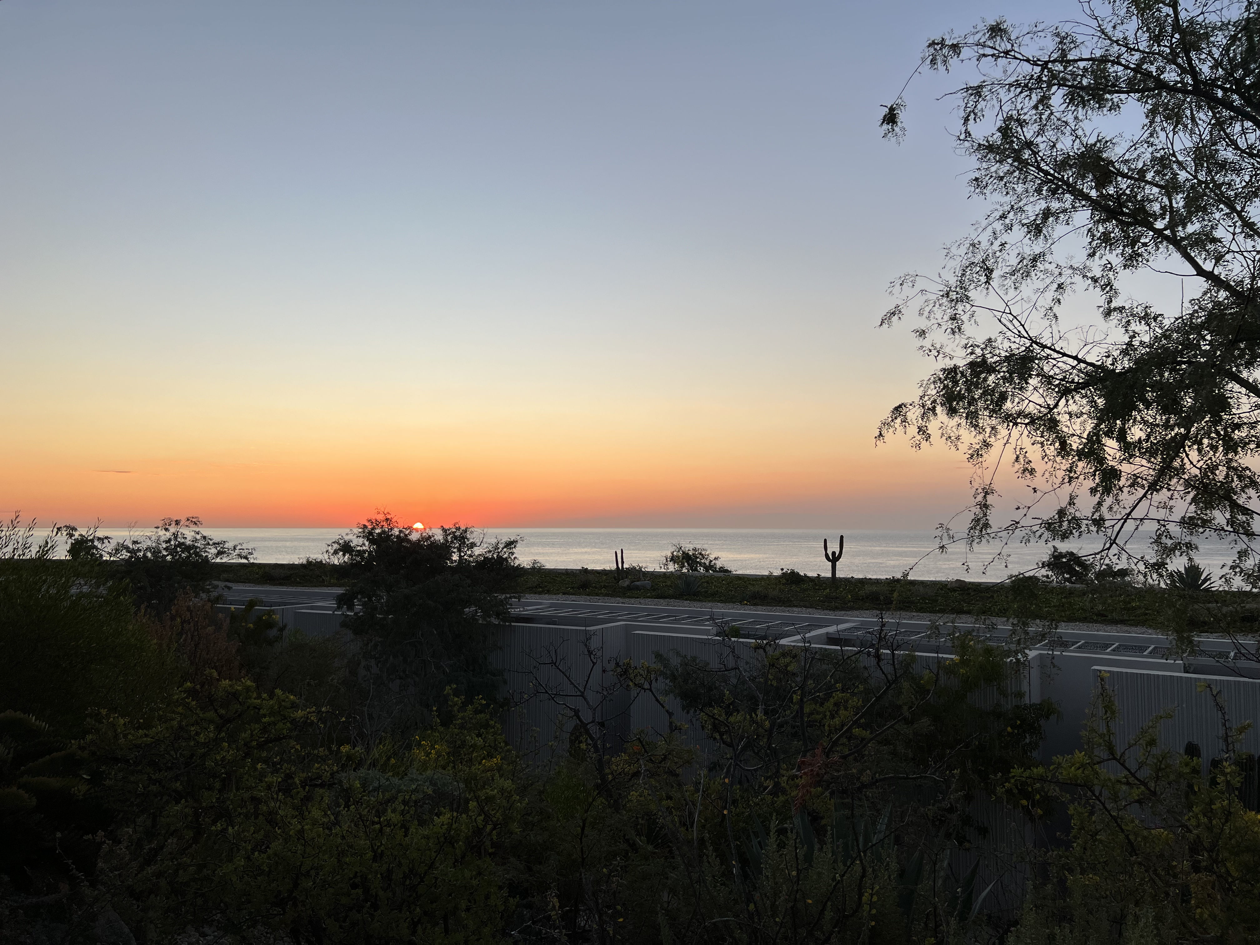 ./2024/13 - Cabo/IMG_4931.jpg